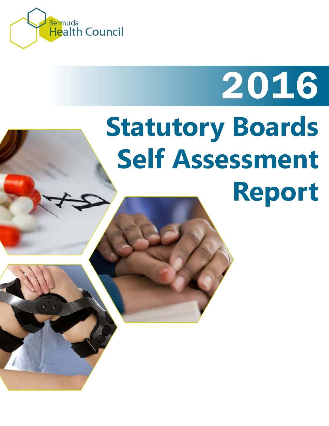 2016 Statutory Boards Self-Assessment Report